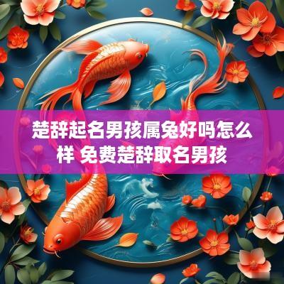 楚辞起名男孩属兔好吗怎么样 免费楚辞取名男孩