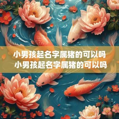 小男孩起名字属猪的可以吗 小男孩起名字属猪的可以吗怎么起名
