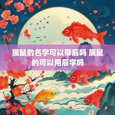 属鼠的名字可以带辰吗 属鼠的可以用辰字吗