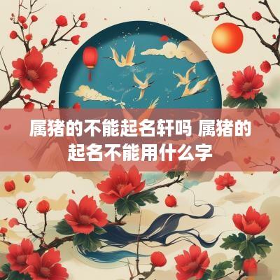 属猪的不能起名轩吗 属猪的起名不能用什么字