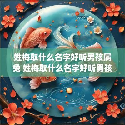 姓梅取什么名字好听男孩属兔 姓梅取什么名字好听男孩属兔的