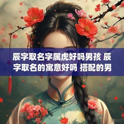 辰字取名字属虎好吗男孩 辰字取名的寓意好吗 搭配的男孩名字有哪些