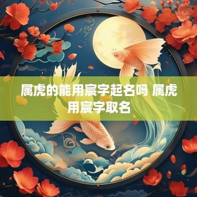 属虎的能用宸字起名吗 属虎用宸字取名