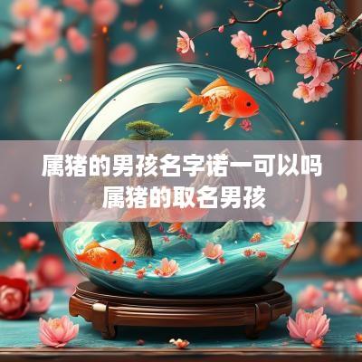 属猪的男孩名字诺一可以吗 属猪的取名男孩