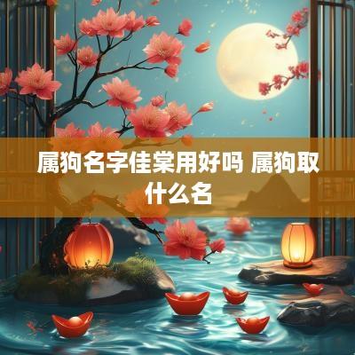 属狗名字佳棠用好吗 属狗取什么名