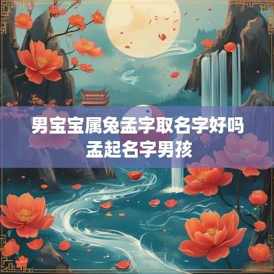 男宝宝属兔孟字取名字好吗 孟起名字男孩