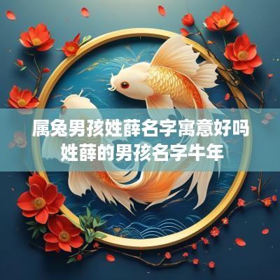 属兔男孩姓薛名字寓意好吗 姓薛的男孩名字蛇年