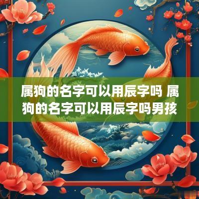 属狗的名字可以用辰字吗 属狗的名字可以用辰字吗男孩