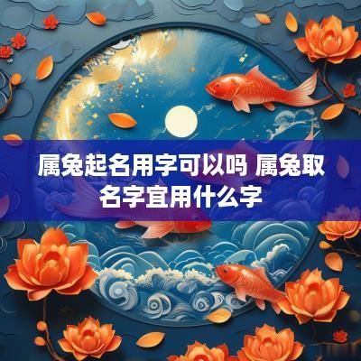 属兔起名用字可以吗 属兔取名字宜用什么字