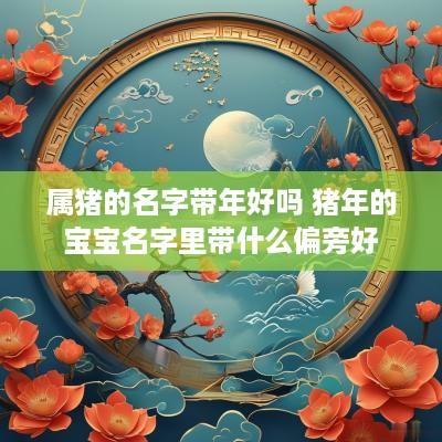 属猪的名字带年好吗 猪年的宝宝名字里带什么偏旁好