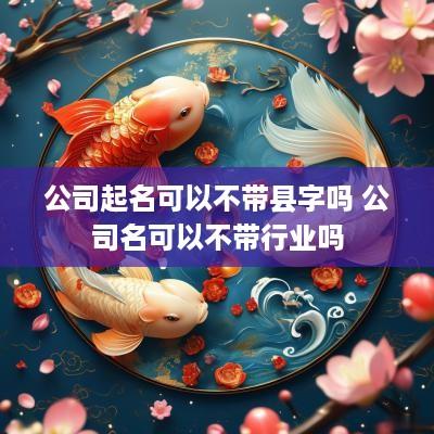公司起名可以不带县字吗 公司名可以不带行业吗