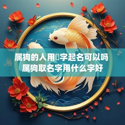 属狗的人用玥字起名可以吗 属狗取名字用什么字好