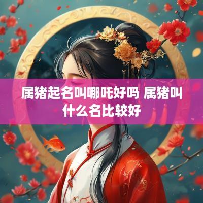 属猪起名叫哪吒好吗 属猪叫什么名比较好