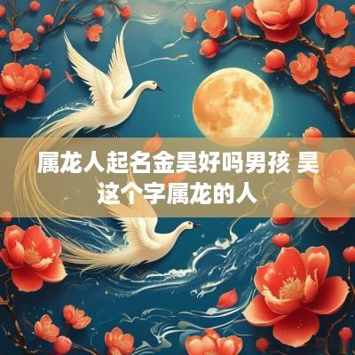 属龙人起名金昊好吗男孩 昊这个字属龙的人