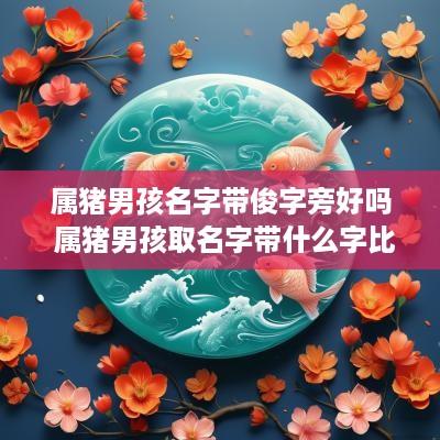 属猪男孩名字带俊字旁好吗 属猪男孩取名字带什么字比较好