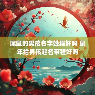 属鼠的男孩名字姓程好吗 蛇年给男孩起名带程好吗