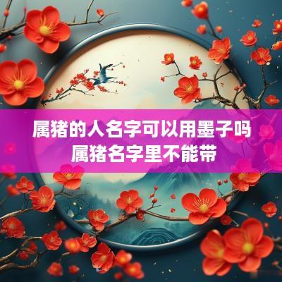 属猪的人名字可以用墨子吗 属猪名字里不能带