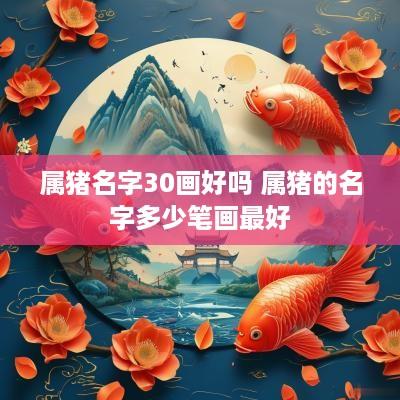 属猪名字30画好吗 属猪的名字多少笔画最好