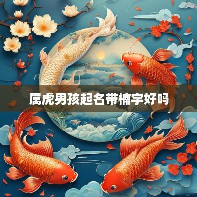 属虎男孩起名带楠字好吗