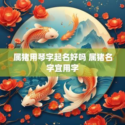 属猪用琴字起名好吗 属猪名字宜用字