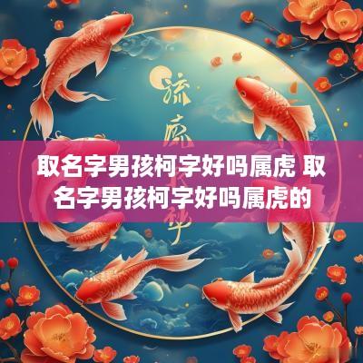 取名字男孩柯字好吗属虎 取名字男孩柯字好吗属虎的