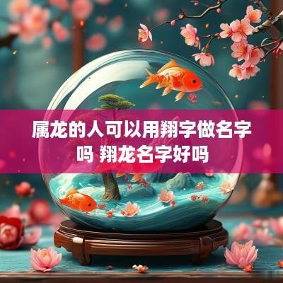 属龙的人可以用翔字做名字吗 翔龙名字好吗