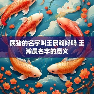 属猪的名字叫王晨翰好吗 王瀚晨名字的意义