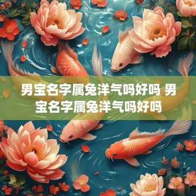男宝名字属兔洋气吗好吗 男宝名字属兔洋气吗好吗