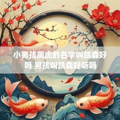小男孩属虎的名字叫凯森好吗 男孩叫凯森好听吗