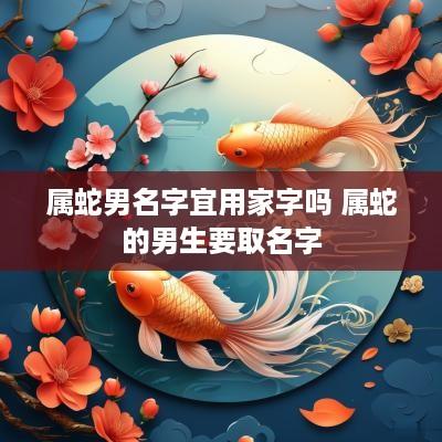 属蛇男名字宜用家字吗 属蛇的男生要取名字