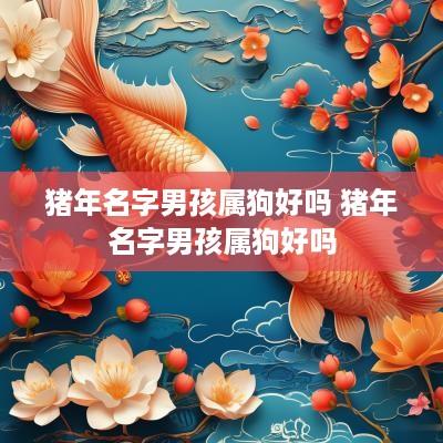猪年名字男孩属狗好吗 猪年名字男孩属狗好吗