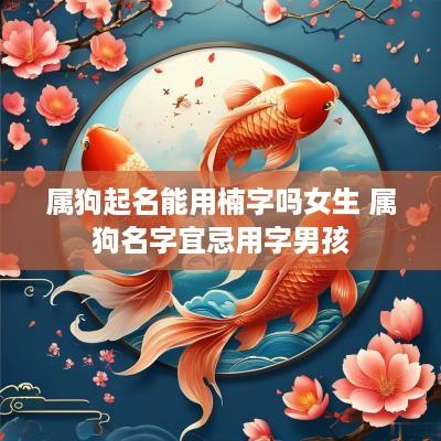 属狗起名能用楠字吗女生 属狗名字宜忌用字男孩