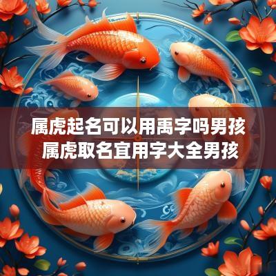 属虎起名可以用禹字吗男孩 属虎取名宜用字大全男孩