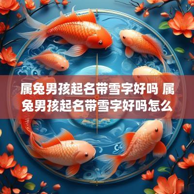 属兔男孩起名带雪字好吗 属兔男孩起名带雪字好吗怎么取