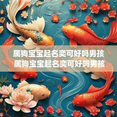 属狗宝宝起名奕可好吗男孩 属狗宝宝起名奕可好吗男孩