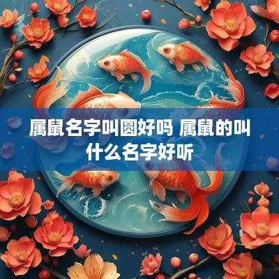 属鼠名字叫圆好吗 属鼠的叫什么名字好听