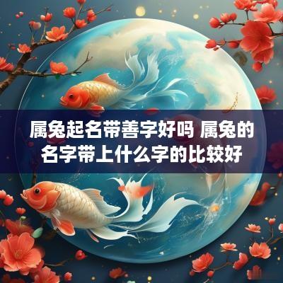属兔起名带善字好吗 属兔的名字带上什么字的比较好