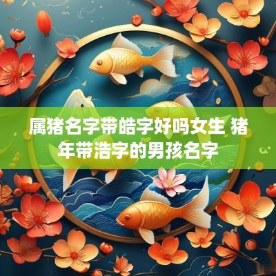 属猪名字带皓字好吗女生 猪年带浩字的男孩名字