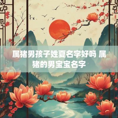 属猪男孩子姓夏名字好吗 属猪的男宝宝名字