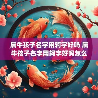 属牛孩子名字用轲字好吗 属牛孩子名字用轲字好吗怎么取