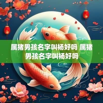 属猪男孩名字叫杨好吗 属猪男孩名字叫杨好吗
