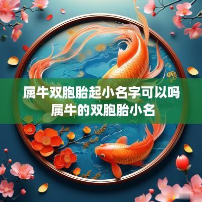 属牛双胞胎起小名字可以吗 属牛的双胞胎小名