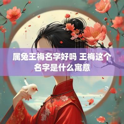 属兔王梅名字好吗 王梅这个名字是什么寓意