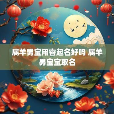 属羊男宝用睿起名好吗 属羊男宝宝取名