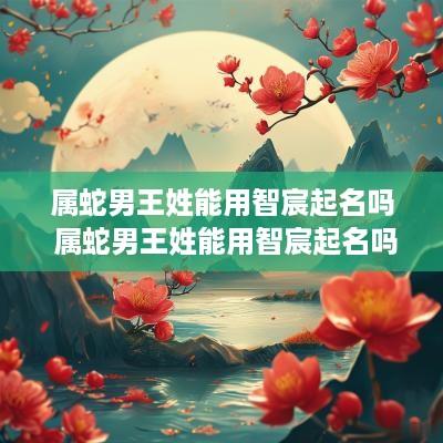 属蛇男王姓能用智宸起名吗 属蛇男王姓能用智宸起名吗好吗
