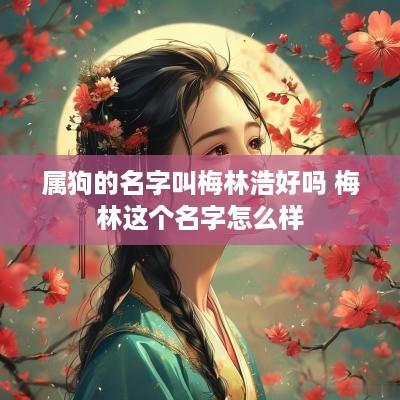 属狗的名字叫梅林浩好吗 梅林这个名字怎么样