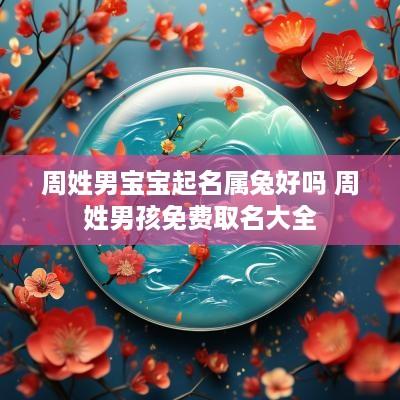 周姓男宝宝起名属兔好吗 周姓男孩免费取名大全