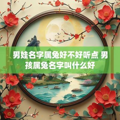 男娃名字属兔好不好听点 男孩属兔名字叫什么好