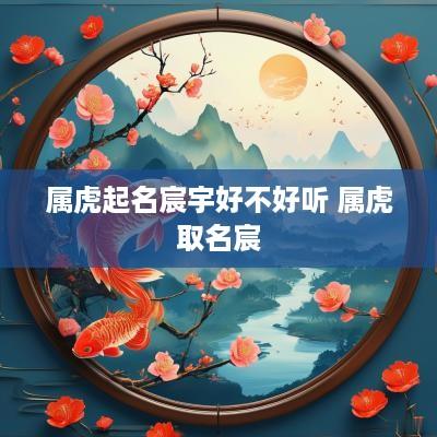 属虎起名宸宇好不好听 属虎取名宸