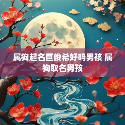 属狗起名巨俊希好吗男孩 属狗取名男孩